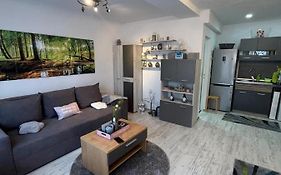 Apartament Acasa Sf.Gheorghe